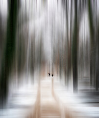 abstract photo of defocused snowy winter forest with adamski style motion blur