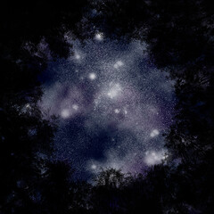 Abstract space background. Background of the starry sky and trees. Place for text.