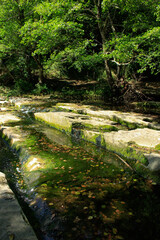 Small stram in the mountains, Catalonia, Spain