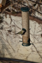 Vogelhäuschen mit Vogel