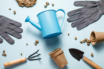 Gardening tools on blue background. Spring garden works concept. World environment day, arbor day, International mother day. Top view
