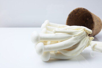 Shimeji mushroom or White beech mushroom isolated on white background.