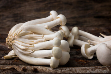 Shimeji mushroom or White beech mushroom on rustic wooden background.