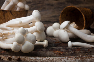 Shimeji mushroom or White beech mushroom on rustic wooden background.