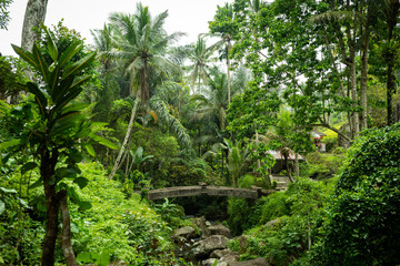 Obraz premium Stone bridge in the jungle, Bali. Indonesia.