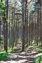 Austria, Johannesbach Gorge