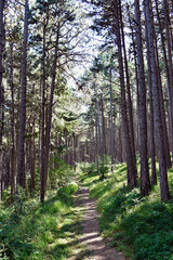 Austria, Johannesbach Gorge