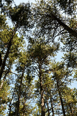 Austria, Johannesbach Gorge