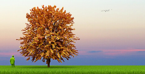 Baum mit herbstlich gelb bunt Blätter, ein Mann in grün steht daneben, in der Ferne Bewölkung am Horizont, Vögel ziehen ihre Bahn, Sonnenaufgang, Sonnenuntergang - 3D Illustration