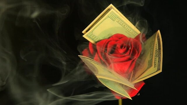 footage of flower money smoke dark background 