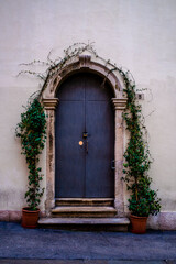 Fototapeta na wymiar iron door with arch