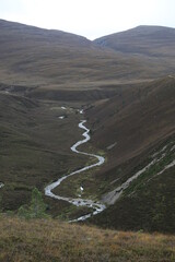 Scotland landscape in the summer