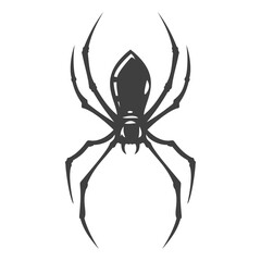 Cartoon hand drawn black spider isolated on white background. Design minimalistic element for logo, icon. Vector illustration.