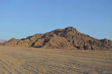 Desert landscape view  