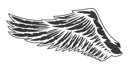 Hand drawn wing with feathers isolated on white background. Cartoon design element for tattoo, label, branding. Vintage vector illustration.