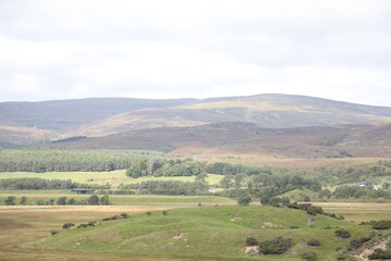 Obraz premium Scotland landscape in the summer