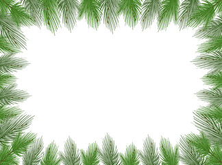 Vector frame of fir branches on a white background