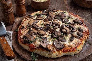 Delicious Mushroom and Cheese Pizza