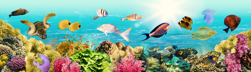 Panele Szklane  underwater paradise background coral reef wildlife nature collage with shark manta ray sea turtle colorful fish background