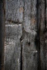 Piece of wood with deep grain for illustration backgrounds