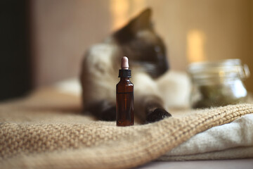 Vial of CBD oil for animals in selective focus and Siamese cat in out-of-focus background.