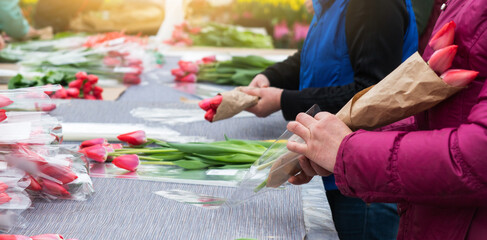 Florists in a greenhouse collect bouquets of tulips for delivery	