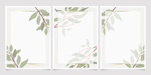 beautiful minimal seeded eucalyptus leaves with golden frame background for birthday or wedding invitation card template collection