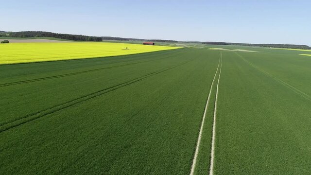 fast overflight of a meadow in a Cultural landscape in spring, summer with green and yellow plants like rapeseed and grain