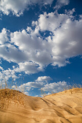 Beautiful desert landscape with dunes. Walk on a sunny day on the sands.