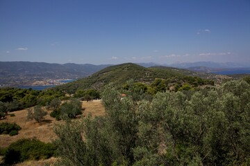 Obraz premium Beautiful nature in summer and blue sea on the island of Poros. Greece