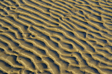 Sea sand