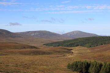 Scotland landscape in the summer