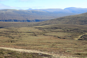Fototapeta premium Scotland landscape in the summer