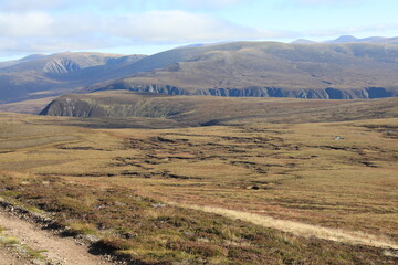 Scotland landscape in the summer