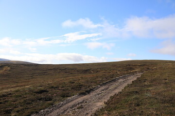 Scotland landscape in the summer