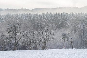 Wintereinbruch am Schlater Wald