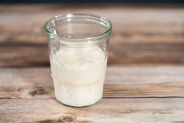 Sourdough starter