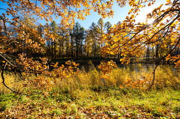 View of city park