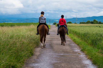 Summer landscape with two riders on the way among agricultural fields,  hills and blue sky clouds...