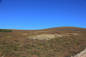Scotland landscape in the summer
