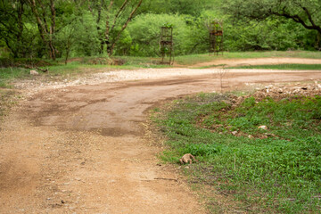 monitor lizard or bengal monitor or common indian monitor or varanus bengalensis near jungle track in monsoon green forest at jhalana leopard reserve jaipur india