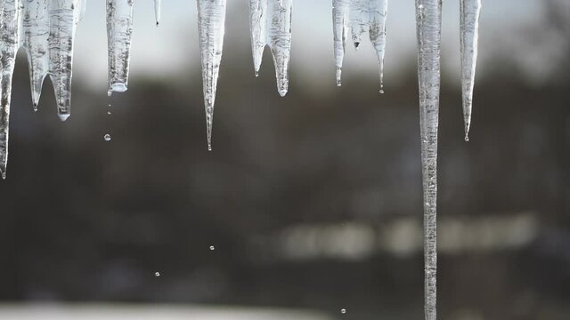 Drops during the thaw. Spring melting of icicles on the roof of the house. The arrival of spring. Change of seasons from winter to spring. FulHD video footage slow motion 100 fps.