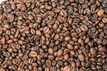 coffee beans close-up, view from the top