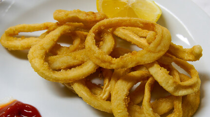 detail of fried squid (calamari rings) in my house