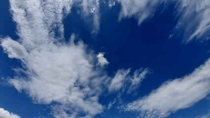 Fototapeta premium Summer sunny sky