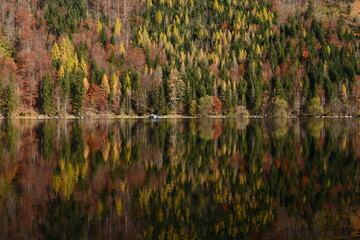 Fototapeta na wymiar Autumn forest reflected in water mirrorlike