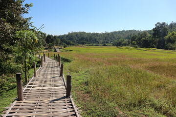 Fototapeta na wymiar Bamboo Bridge near the Pai in Thailand