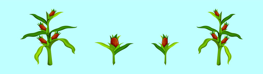 set of corn stalks cartoon icon design template with various models. vector illustration isolated on blue background