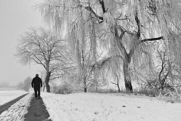 A man in black clothing goes walking on a bleak winter's day after heavy snow and frost.