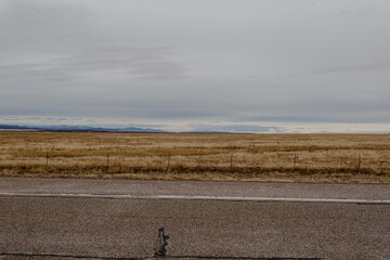 Fototapeta na wymiar Mountain range in distance behind large yellow pasture field in rural New Mexico on cloudy day